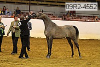 09r2-4552 thumbnail