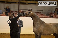 09r2-4554 thumbnail