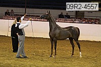 09r2-4557 thumbnail