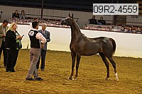 09r2-4559 thumbnail