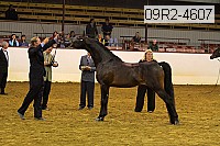 09r2-4607 thumbnail