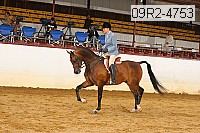 09r2-4753 thumbnail