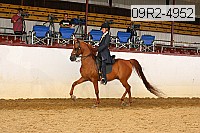 09r2-4952 thumbnail