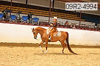 09r2-4994 thumbnail