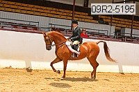09r2-5195 thumbnail