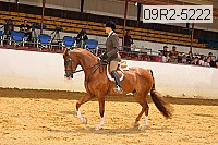 09r2-5222 thumbnail