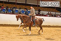 09r2-5223 thumbnail