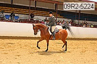 09r2-5224 thumbnail