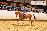 09r2-5226 thumbnail