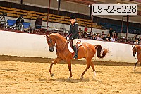 09r2-5228 thumbnail