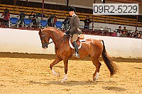 09r2-5229 thumbnail