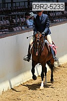 09r2-5233 thumbnail