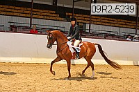 09r2-5239 thumbnail