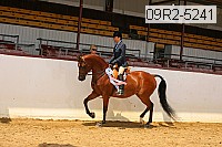 09r2-5241 thumbnail