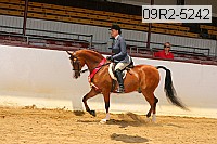 09r2-5242 thumbnail