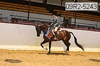09r2-5243 thumbnail