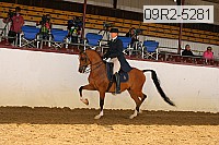 09r2-5281 thumbnail