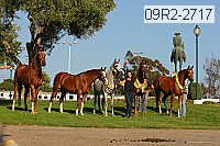 09r2-2717 thumbnail