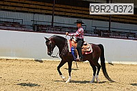 09r2-0372 thumbnail