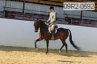 09r2-0592 thumbnail