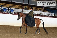 09r2-0657 thumbnail