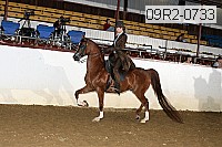 09r2-0733 thumbnail