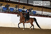 09r2-0768 thumbnail