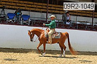 09r2-1049 thumbnail