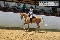 09r2-1100 thumbnail