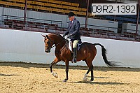 09r2-1392 thumbnail