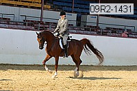 09r2-1431 thumbnail