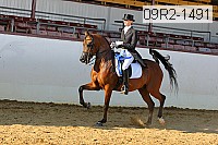 09r2-1491 thumbnail