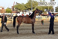09r2-1597 thumbnail