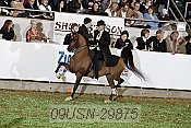 09usn-29875 thumbnail