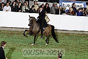 09usn-29516 thumbnail