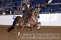 09usn-00788 thumbnail