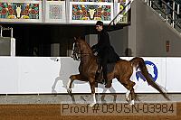 09usn-03984 thumbnail