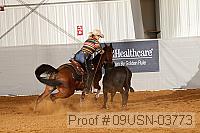 09usn-03773 thumbnail