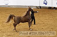 09usn-11216 thumbnail