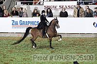 09usn-25100 thumbnail
