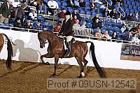 09usn-12542 thumbnail