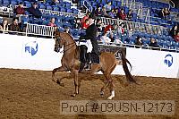 09usn-12173 thumbnail