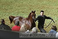 09usn-27366 thumbnail
