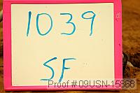 09usn-15868 thumbnail