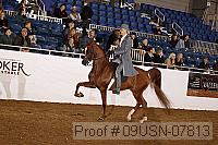 09usn-07813 thumbnail