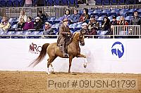 09usn-01799 thumbnail