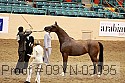 09yn-03095 thumbnail