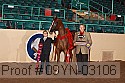 09yn-03106 thumbnail