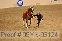 09yn-03124 thumbnail