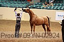 09yn-02924 thumbnail